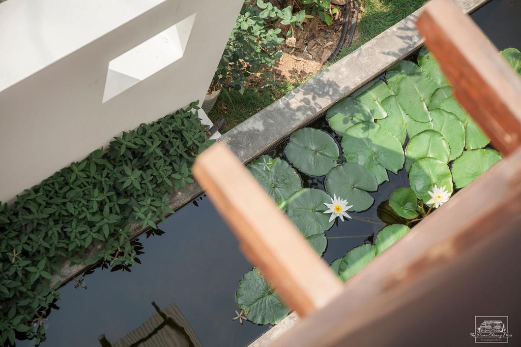 The Home Chiangmai Luxury Guesthouse Chiang Mai Ngoại thất bức ảnh