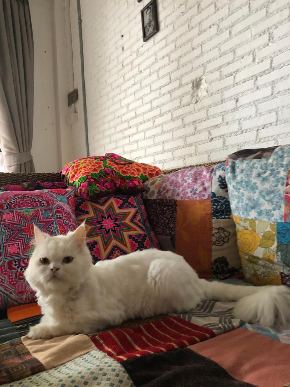The Home Chiangmai Luxury Guesthouse Chiang Mai Ngoại thất bức ảnh